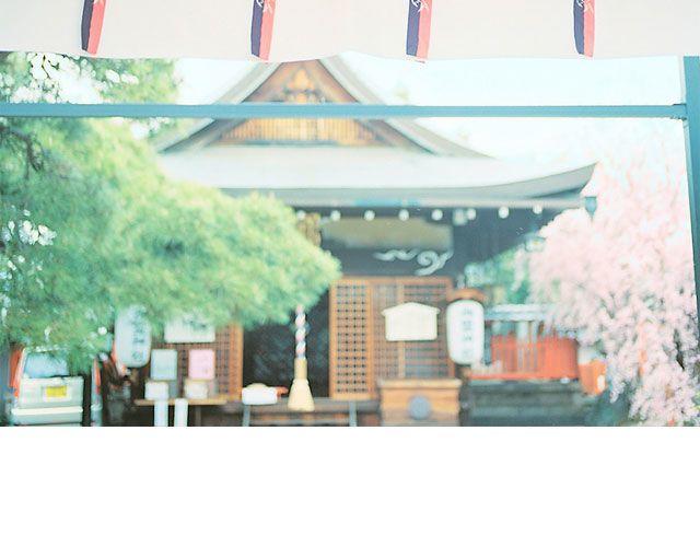 第16期 每一朵春花，都是治愈系 | @overwater、@overwind-第16话