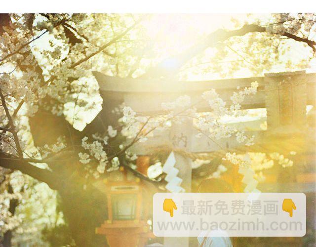 第16期 每一朵春花，都是治愈系 | @overwater、@overwind-第16话