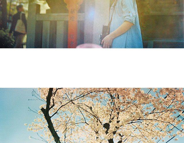 第16期 每一朵春花，都是治愈系 | @overwater、@overwind-第16话