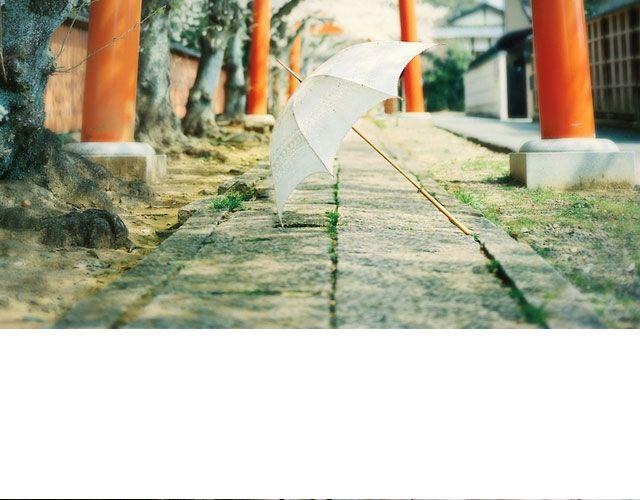 第16期 每一朵春花，都是治愈系 | @overwater、@overwind-第16话