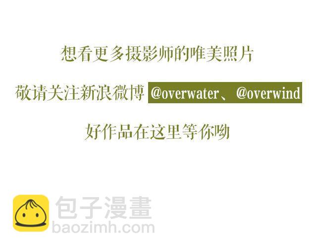 第16期 每一朵春花，都是治愈系 | @overwater、@overwind-第16话
