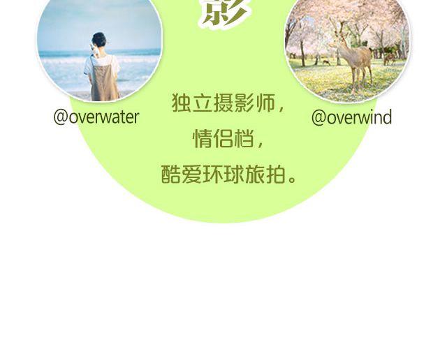 第16期 每一朵春花，都是治愈系 | @overwater、@overwind-第16话