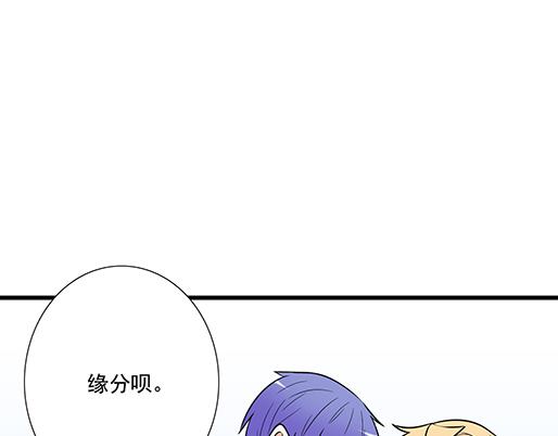 第四十话：缘分(1/2)-第40话