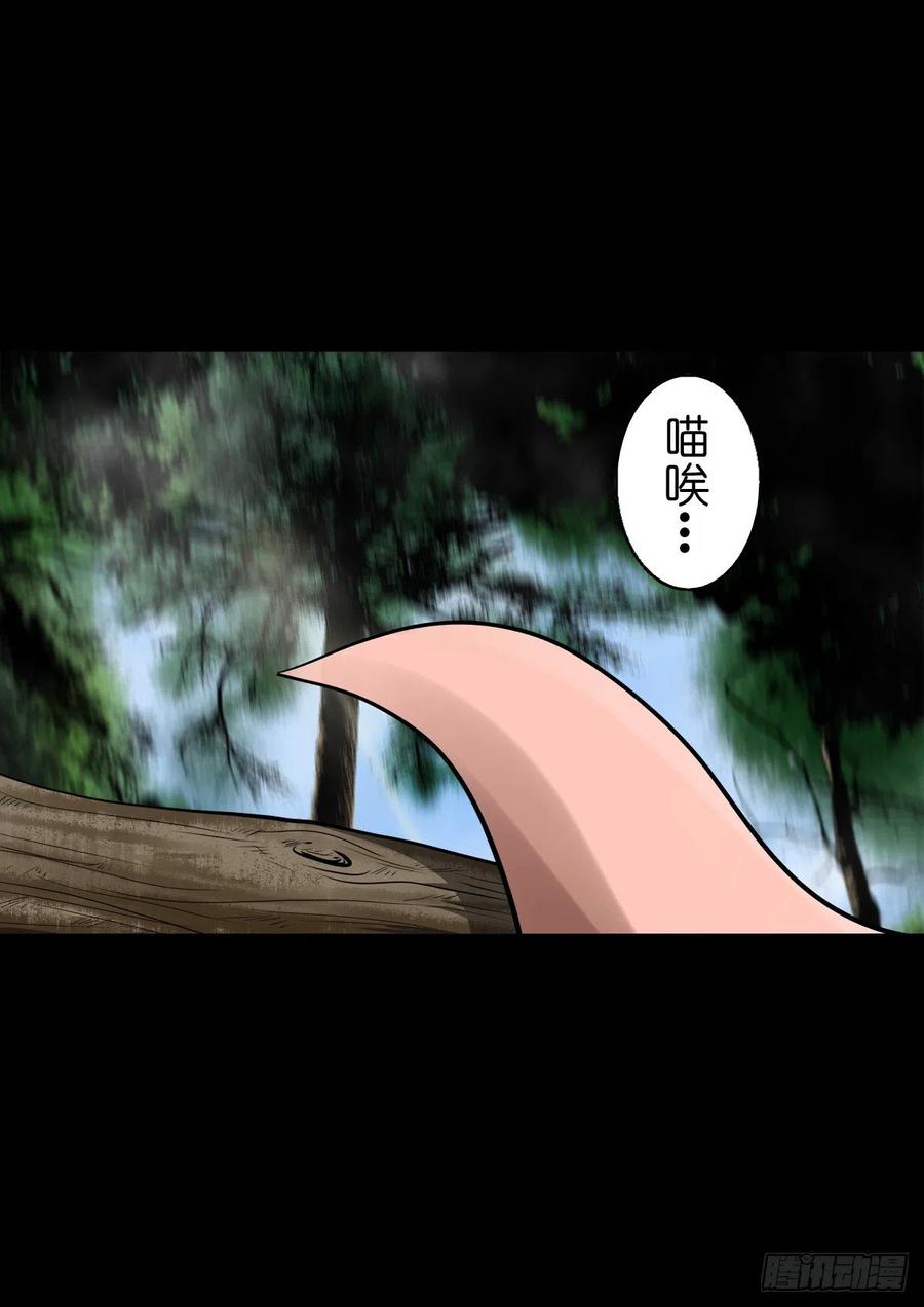 【捌拾壹】固灵仙丹-第88话