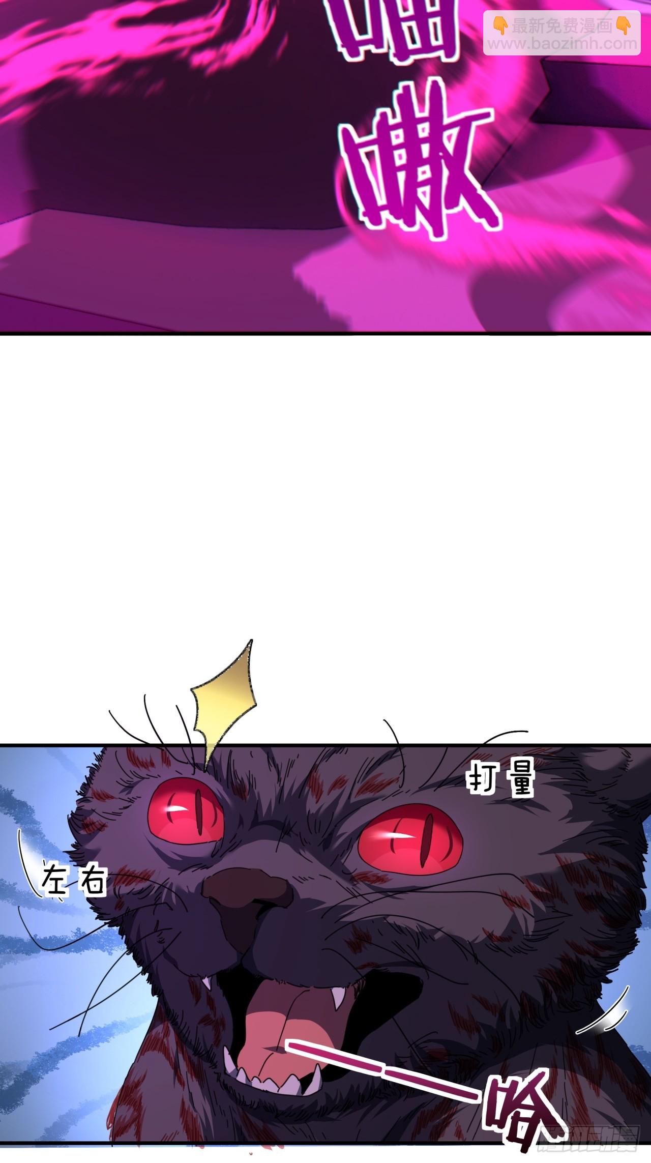 06话  猫妖的诱惑(1/2)-第6话