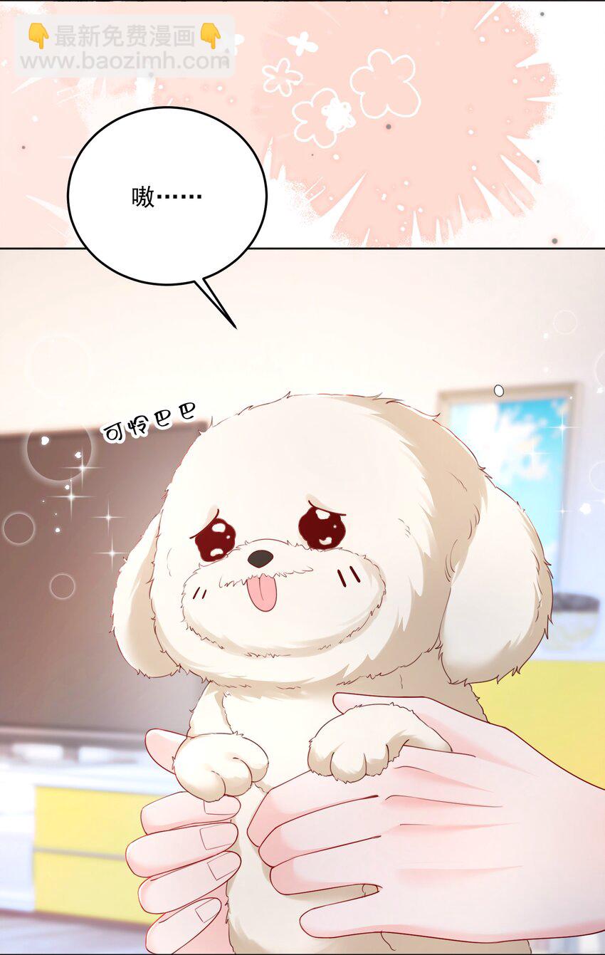 067 被雨淋湿的小狗-第70话
