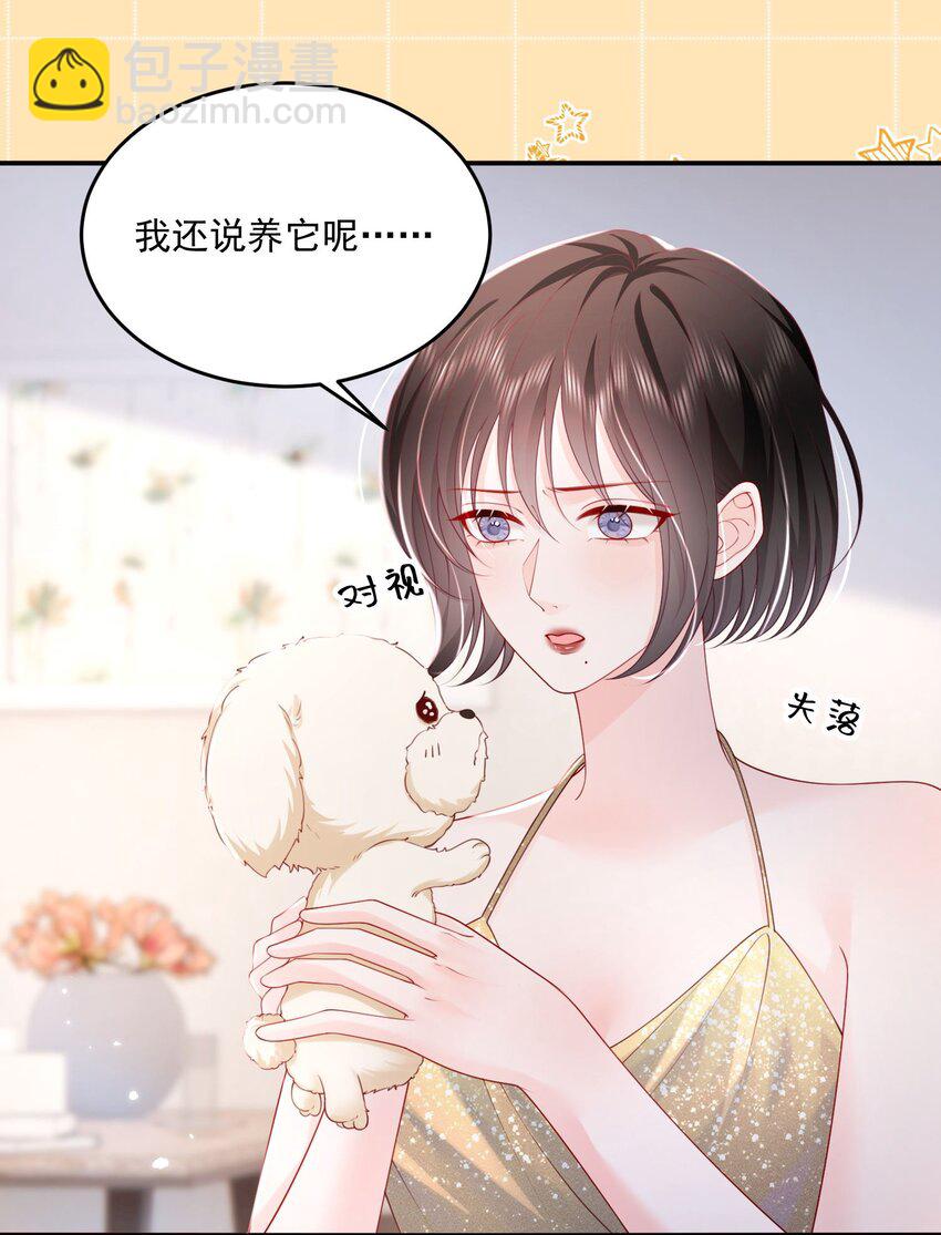 067 被雨淋湿的小狗-第70话