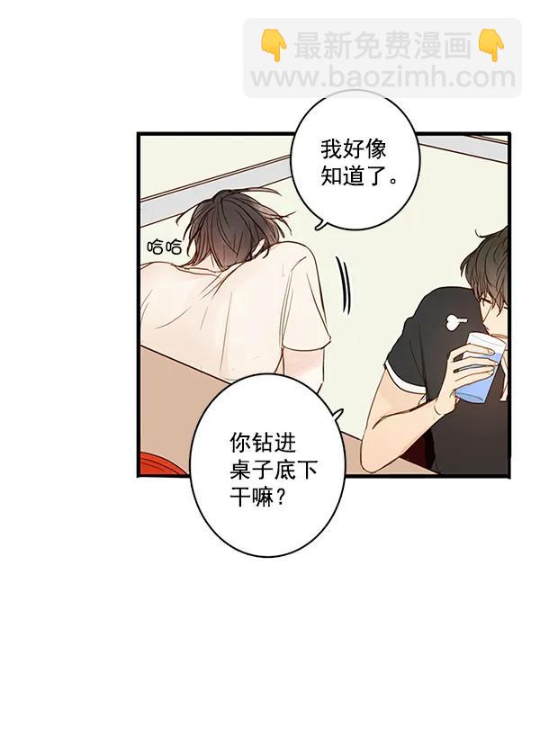 🍛青苹果乐园 第32话 第40页