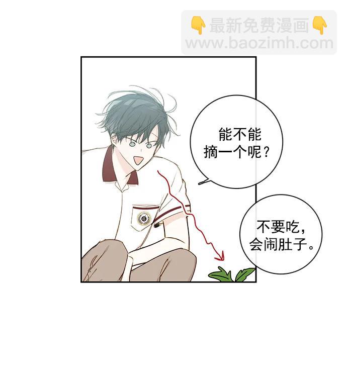 🍛青苹果乐园_第三季 第13话 第40页