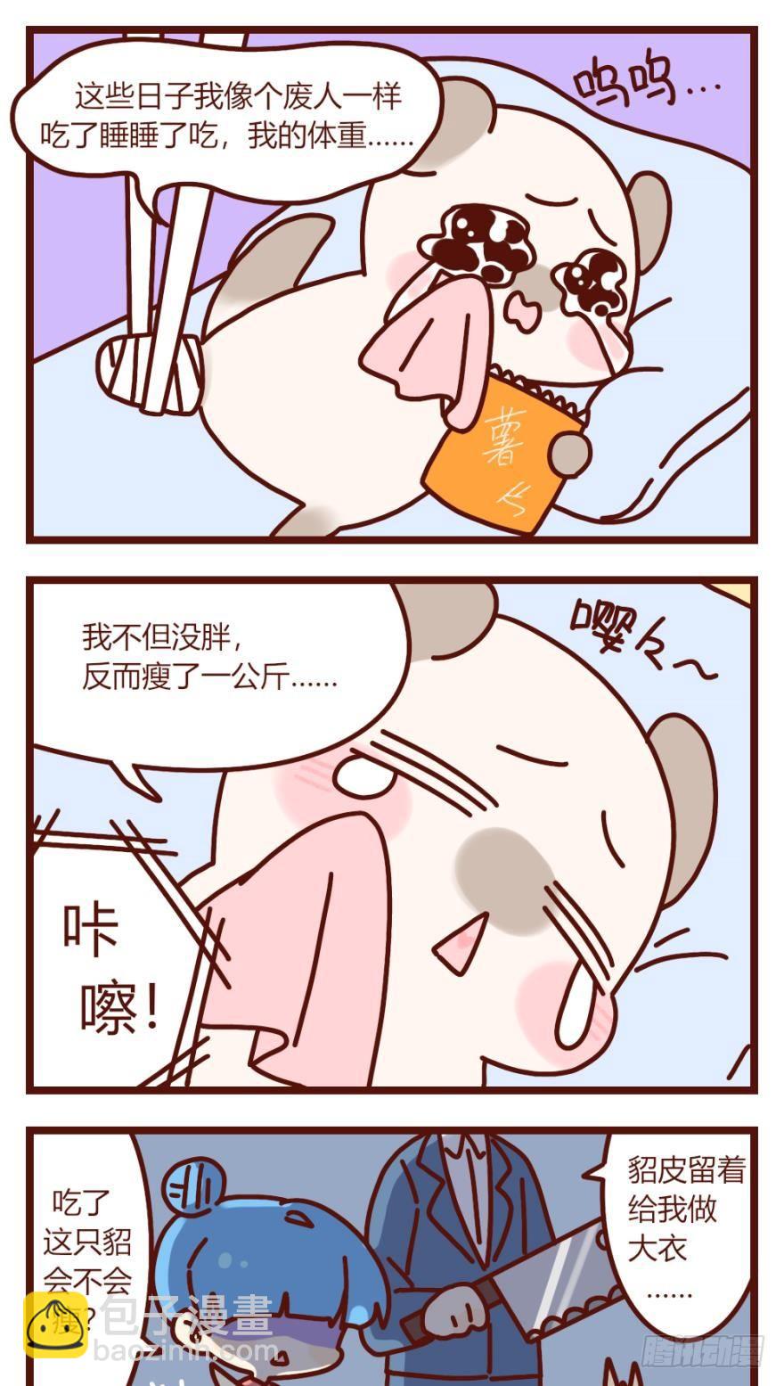 【貂总小剧场】：体质-第140话