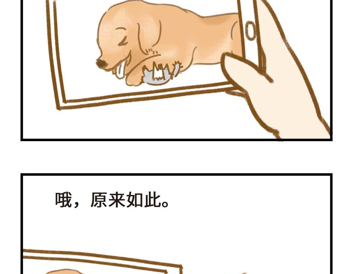 男孩子的记忆力是个迷-第30话