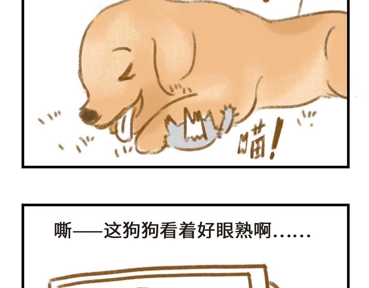 男孩子的记忆力是个迷-第30话