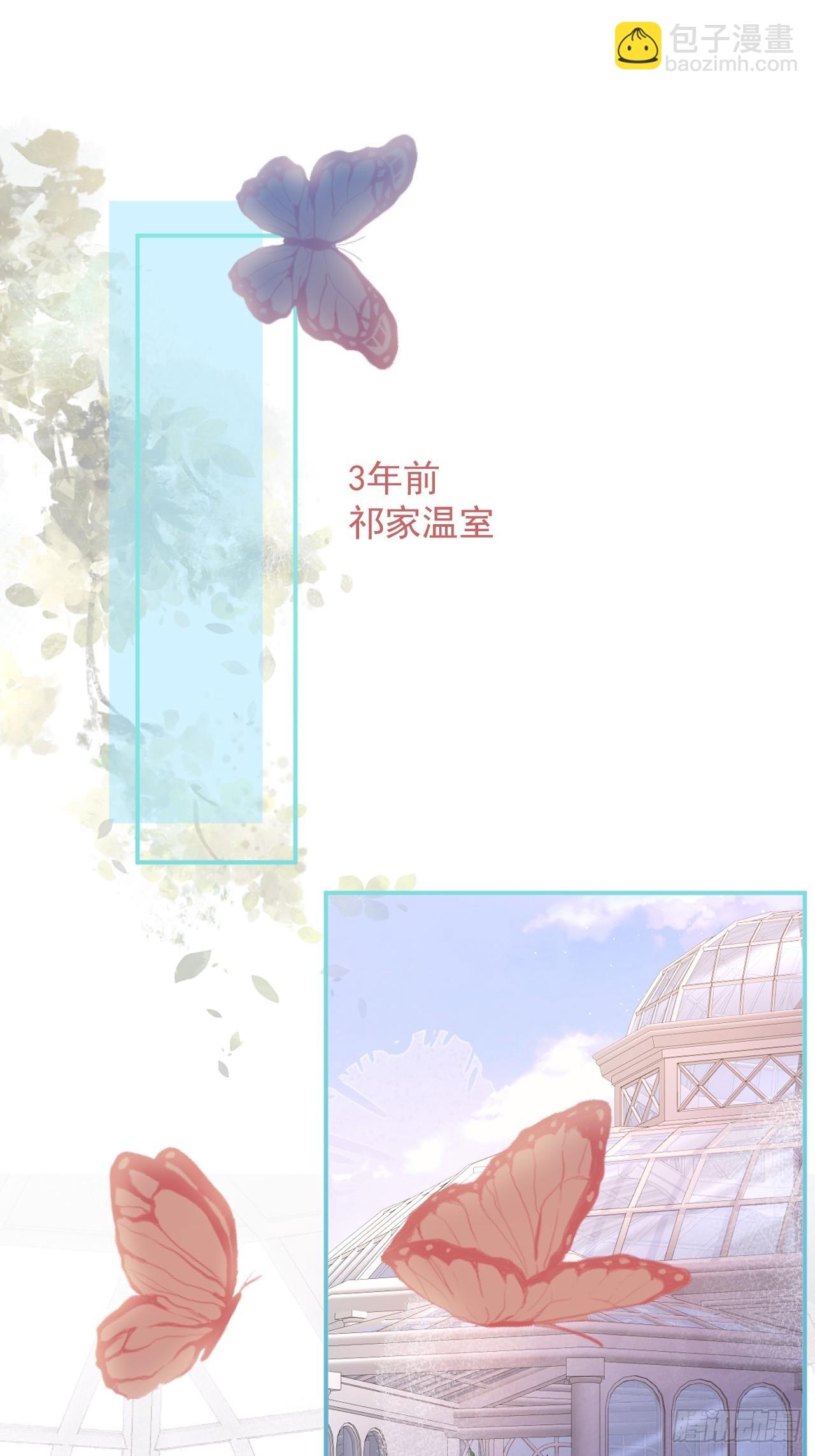 40-哥哥的蝴蝶。(1/2)-第42话