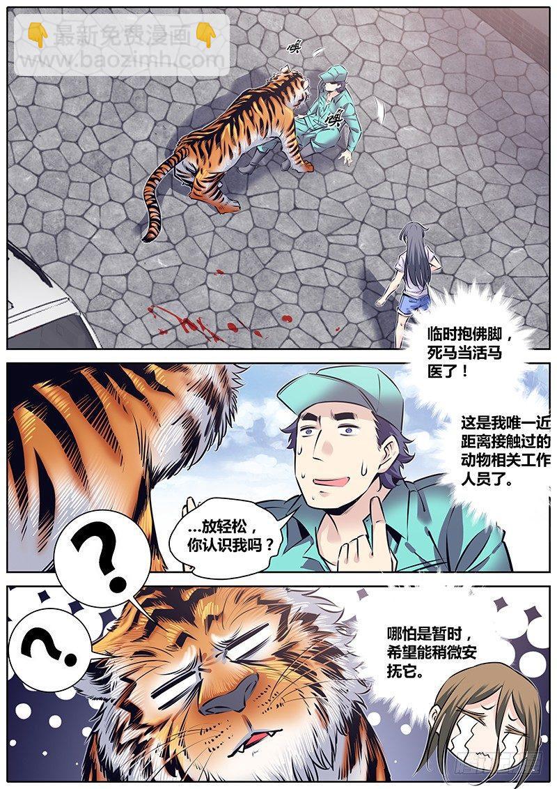 🍛秦侠 225.大喵 第8页