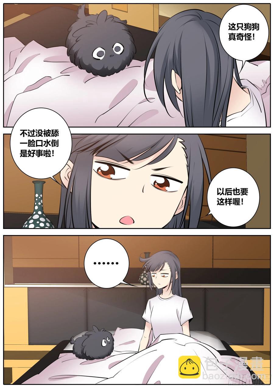 🍛秦侠 353.蠢狗狗 第4页