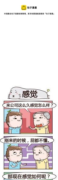 36.感觉-第36话