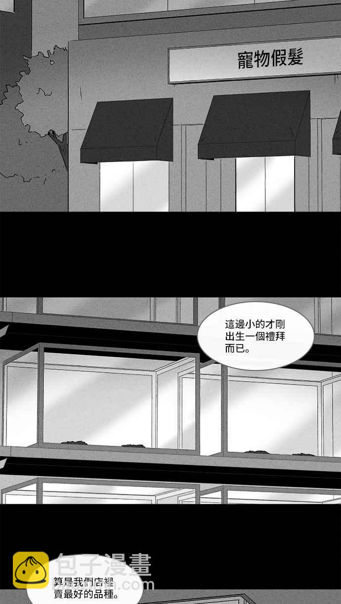 🍛奇奇怪怪 [第139话] 宠物假发 1 第2页