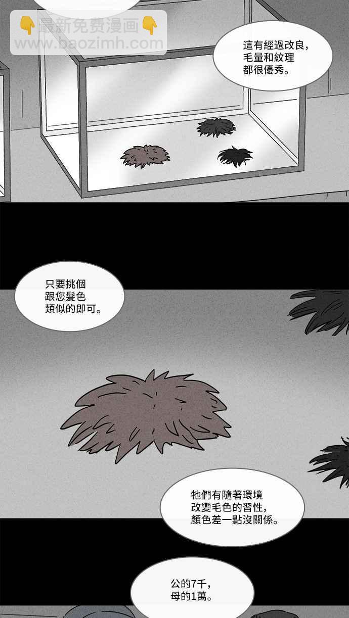 🍛奇奇怪怪 [第139话] 宠物假发 1 第3页