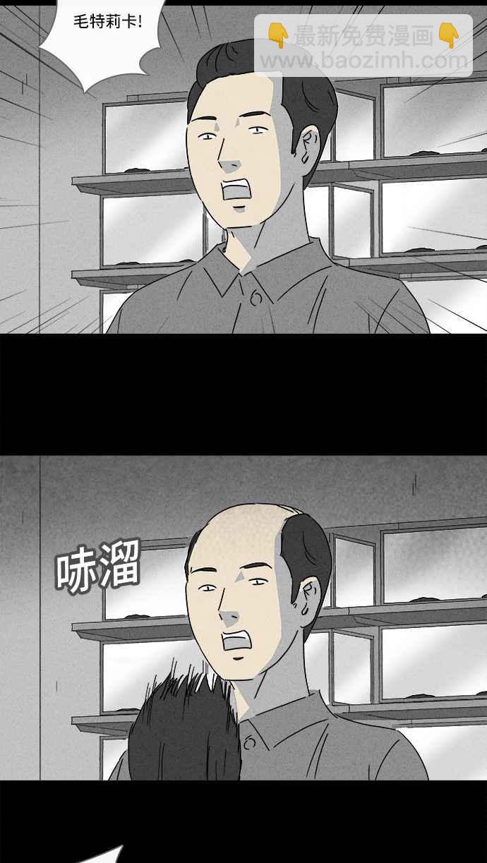 🍛奇奇怪怪 [第139话] 宠物假发 1 第5页
