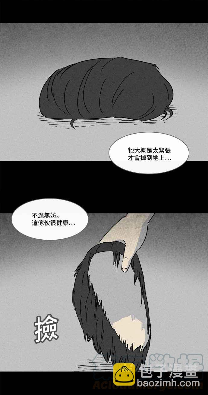 🍛奇奇怪怪 [第139话] 宠物假发 1 第7页