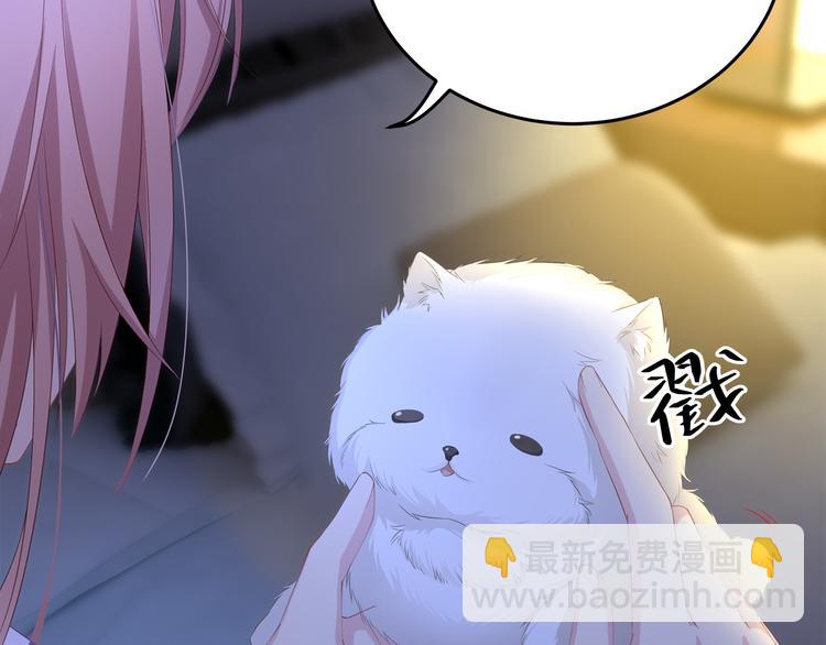 第4话 朱砂痣与白月光(1/3)-第4话