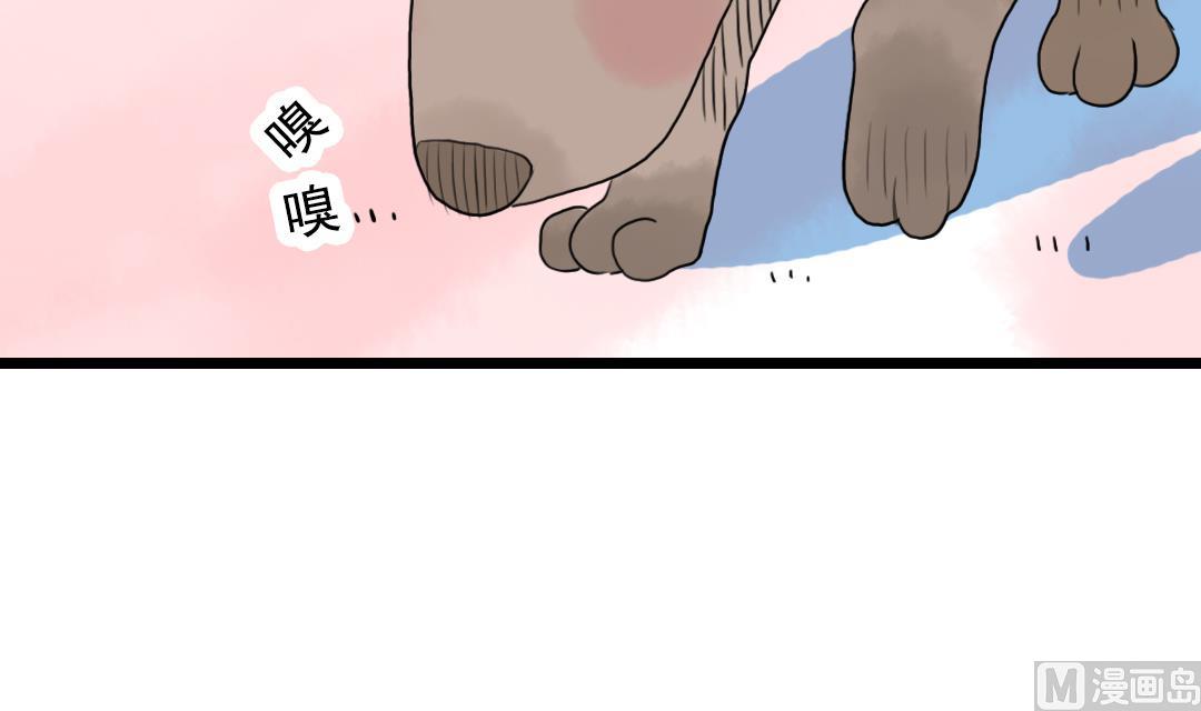 第22话 菜场之战 2-第50话