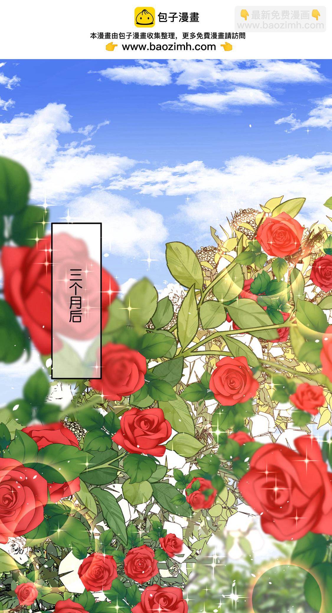🍛契约冷妻不好惹 第378话 血色婚礼 第2页