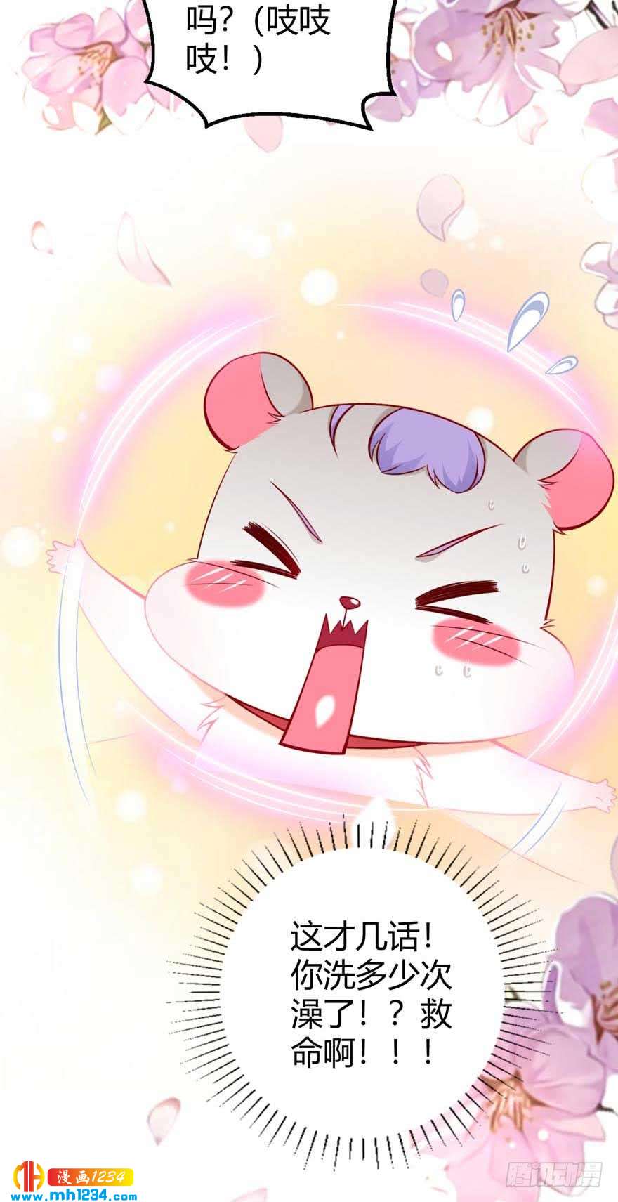 第15话 洗白白-第18话
