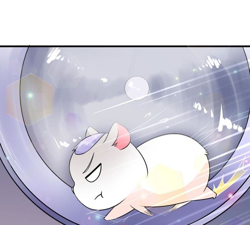 第33话 仓鼠大胜(1/2)-第36话