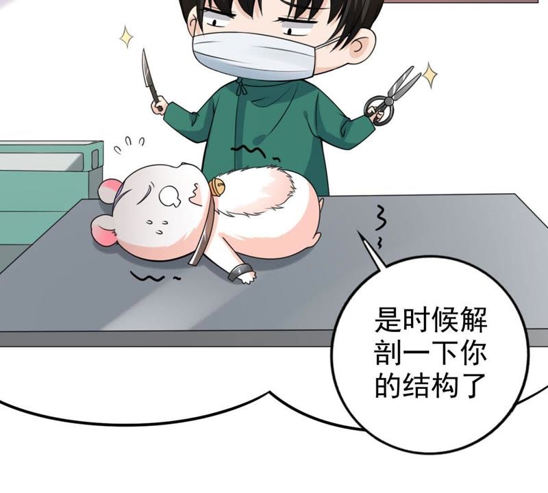 第35话 掉毛(1/2)-第38话