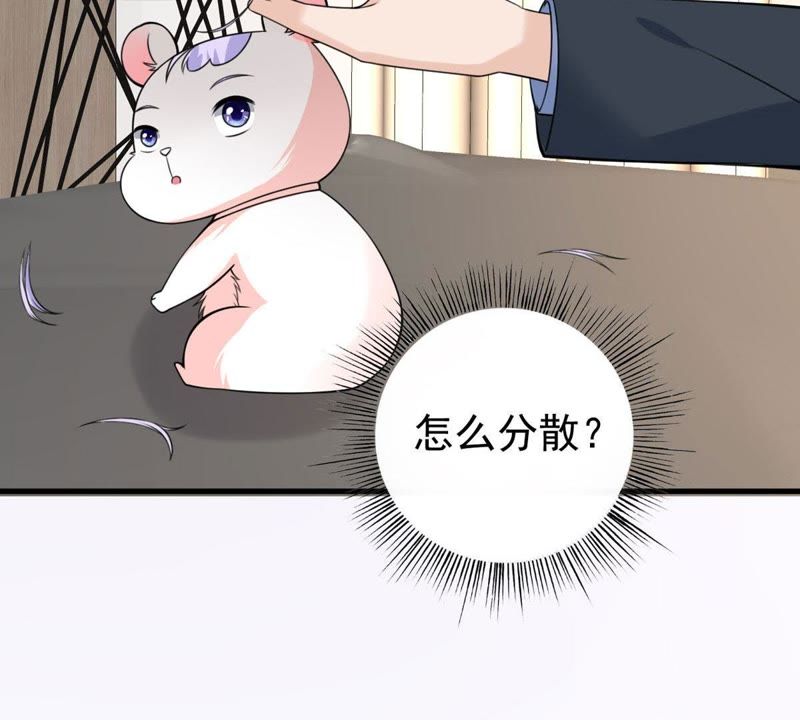 第35话 掉毛(1/2)-第38话