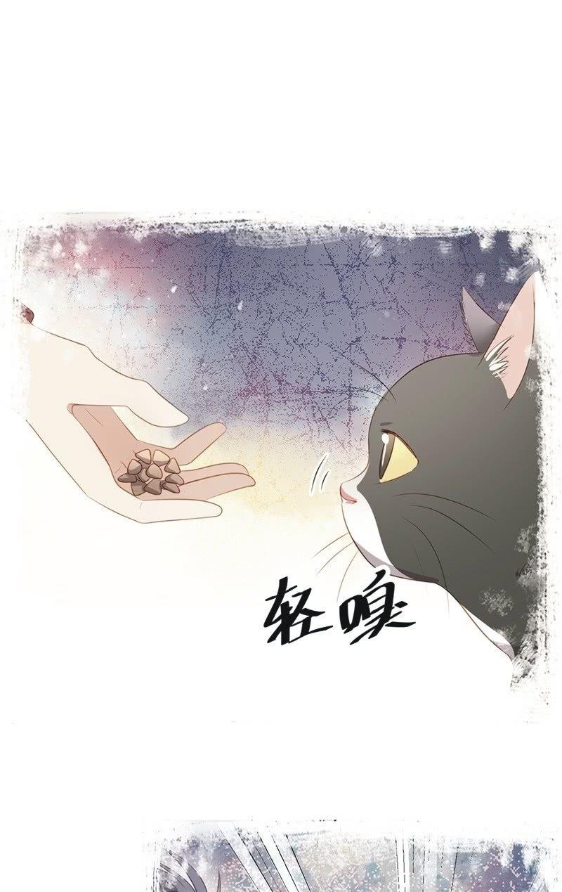 第八十四话-第88话