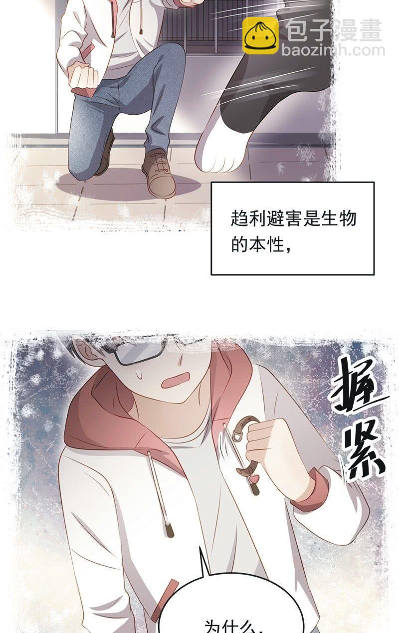 第八十四话-第88话