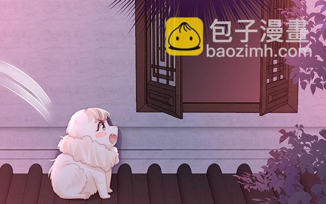 第39话 你有别的狗了(1/3)-第42话