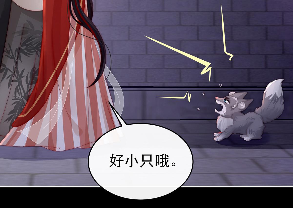 20 白嫖一只狼崽(1/3)-第24话