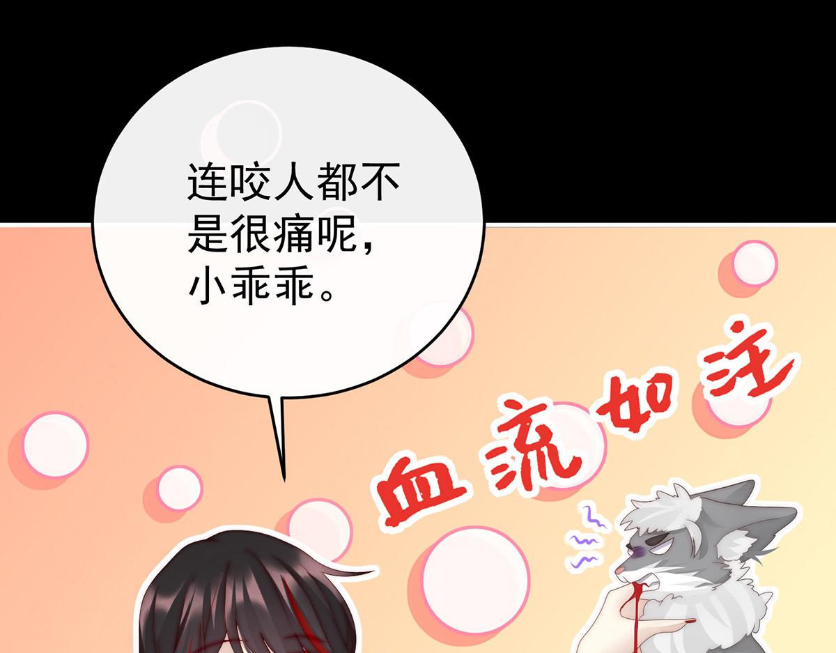 20 白嫖一只狼崽(1/3)-第24话