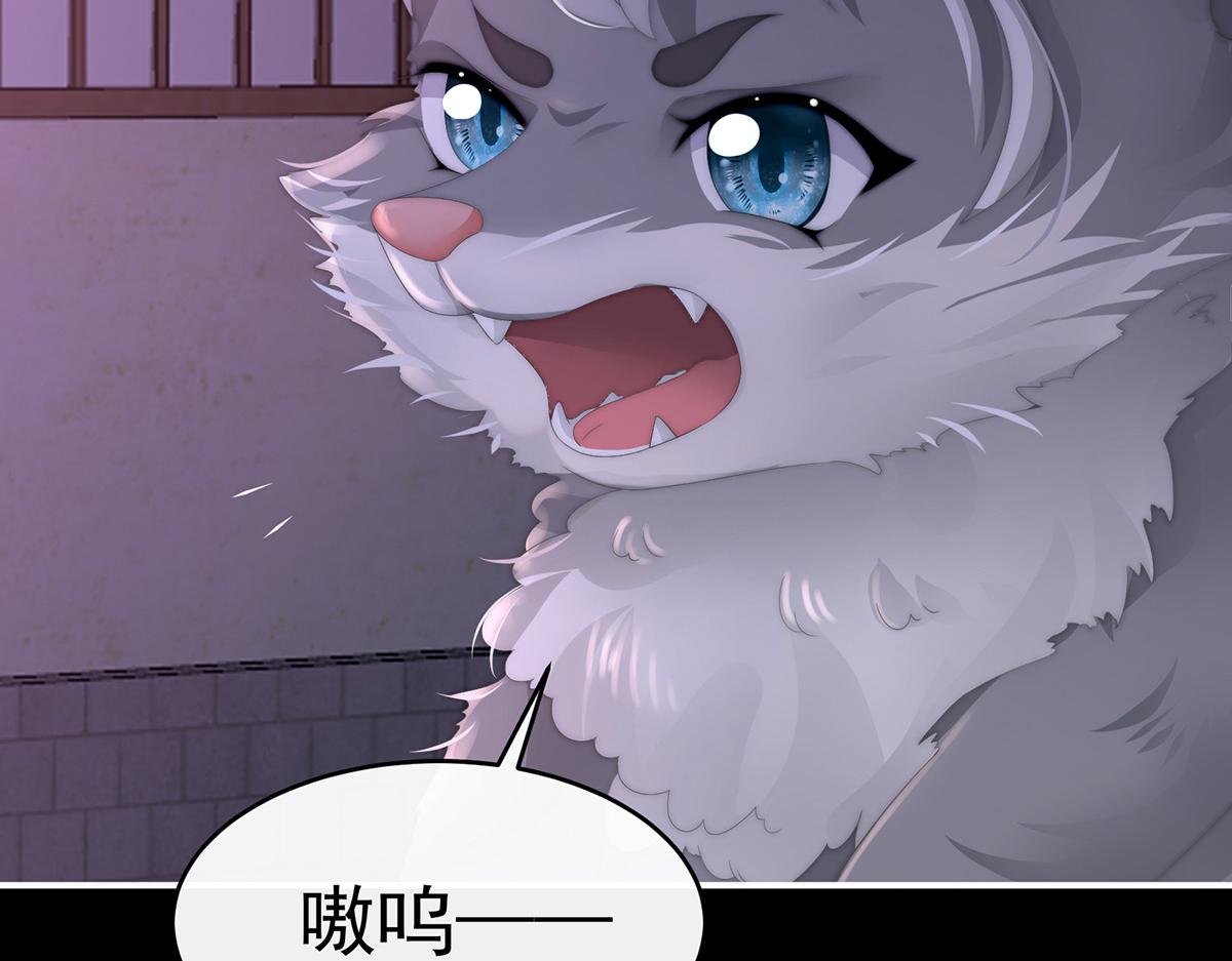 20 白嫖一只狼崽(1/3)-第24话