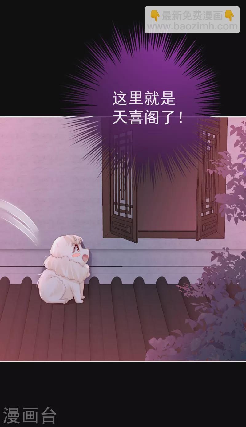 第39话 你有别的狗了-第42话