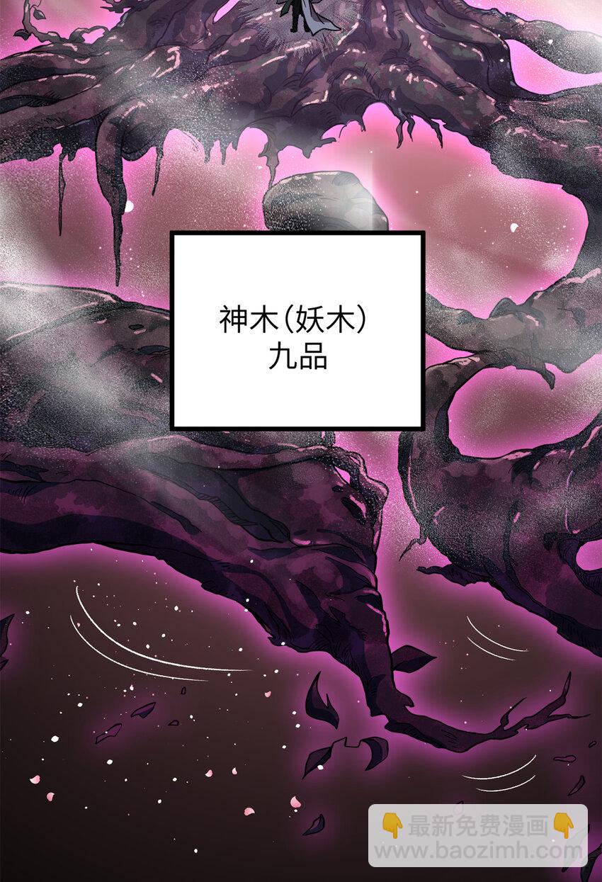 249 乱糟糟的地窟(1/2)-第254话