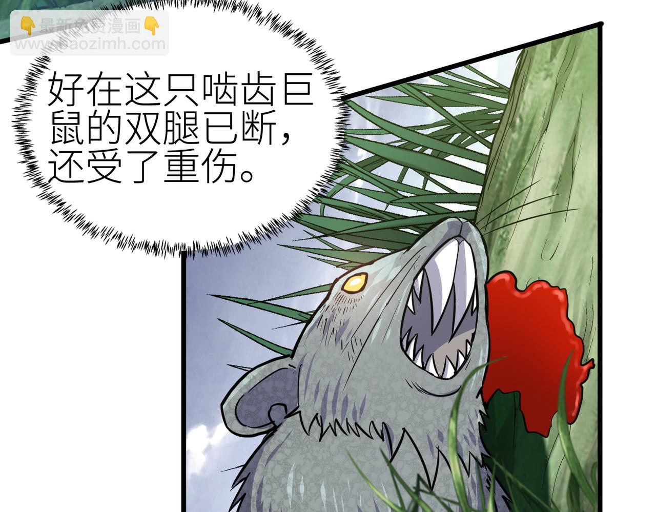 第4话 击杀1级啮齿巨鼠！(1/4)-第4话