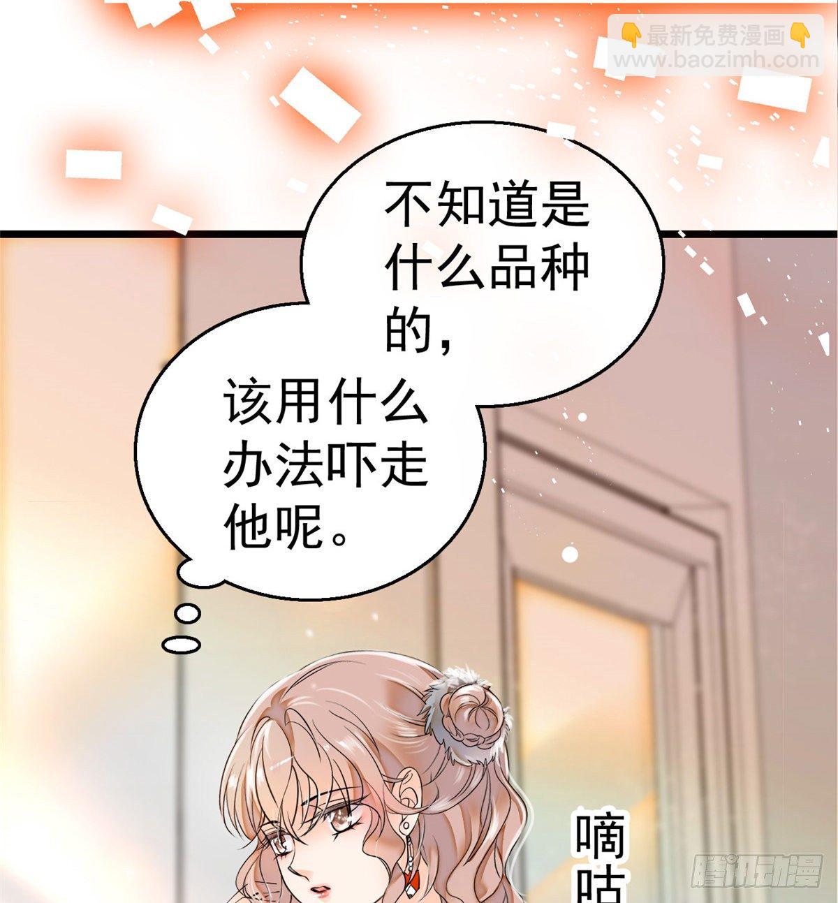 001 我有新老公到货了？！(1/2)-第2话