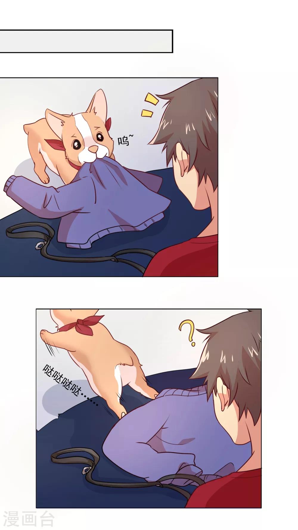 🍛犬侠 第36话 糯米 第4页