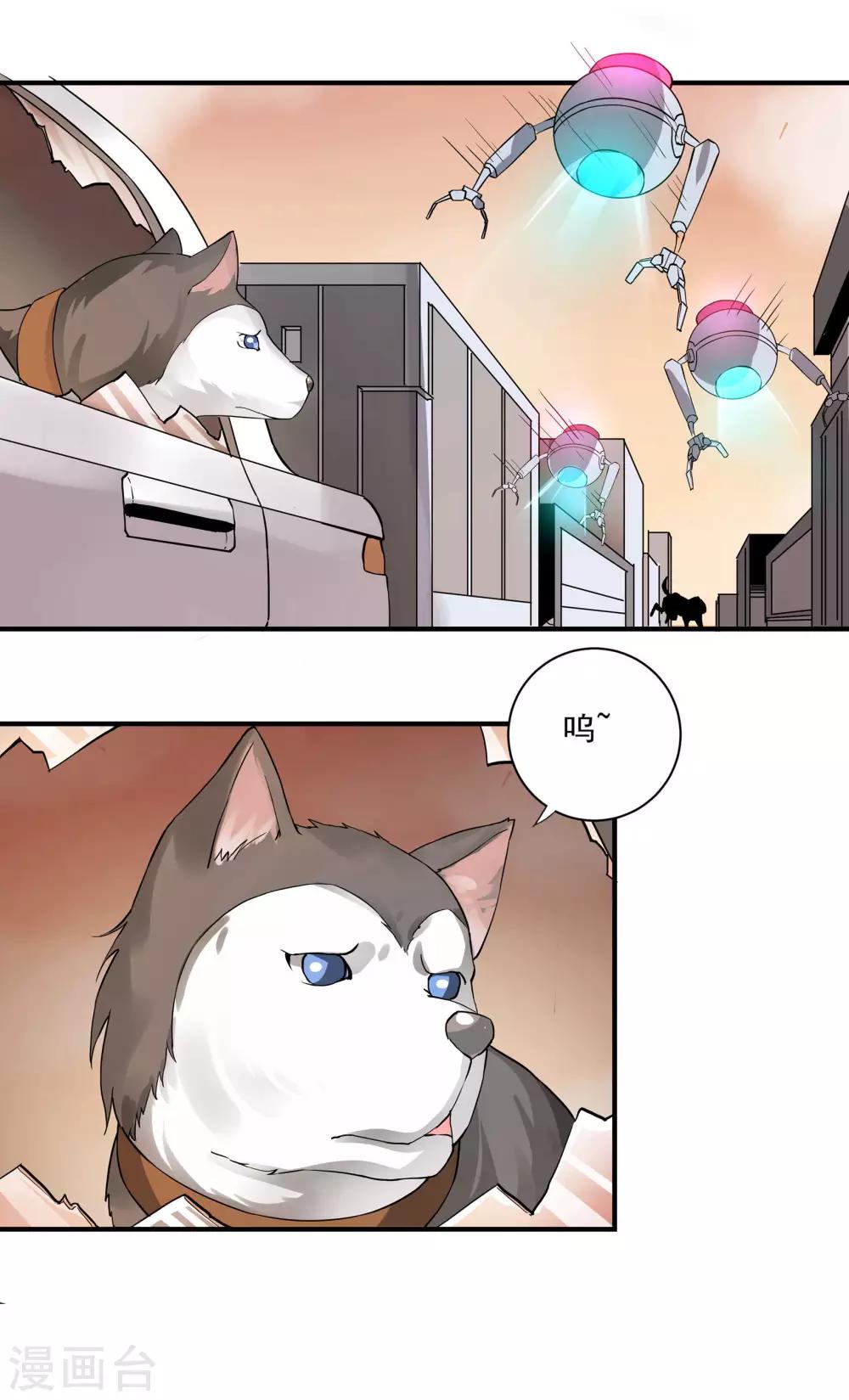 🍛犬侠 第62话 芯片与狗 第13页