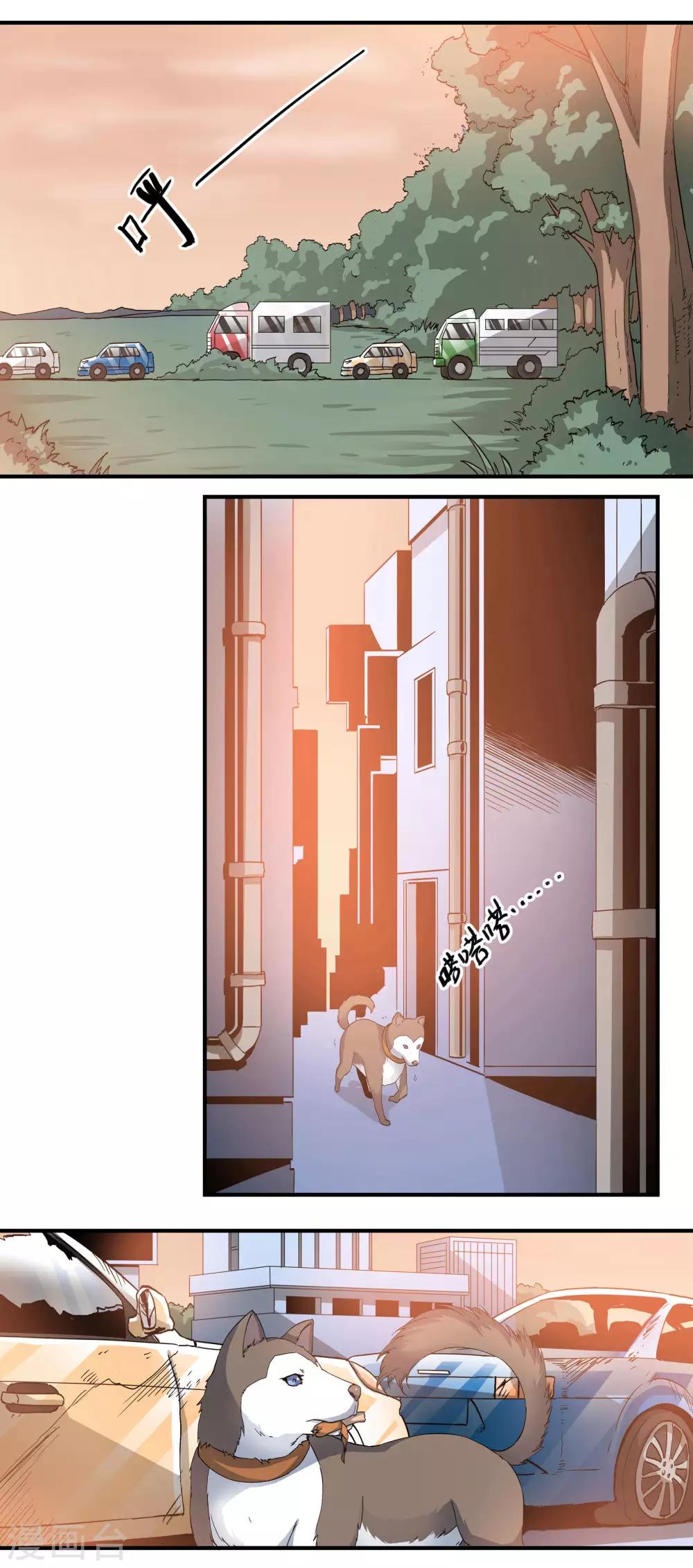 🍛犬侠 第62话 芯片与狗 第2页
