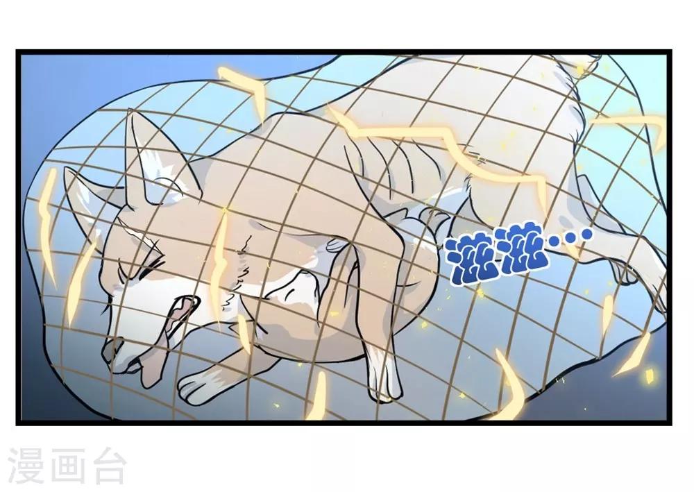 🍛犬侠 第8话 二阶段 第5页