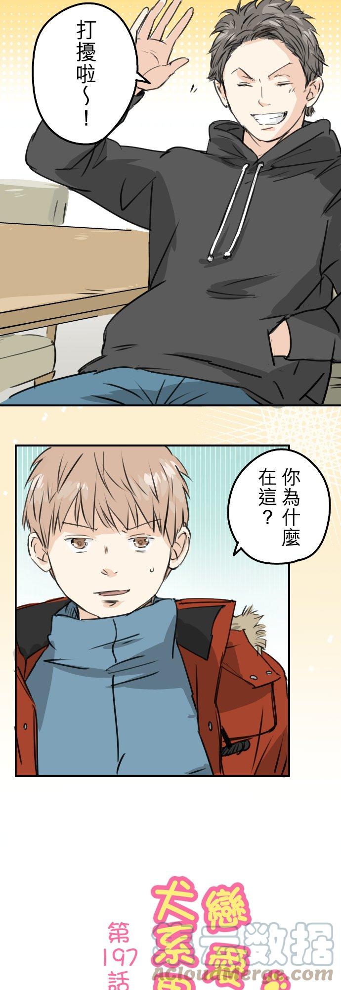 🍛犬系男子恋爱中 第197话 好像是又好像不是 第3页