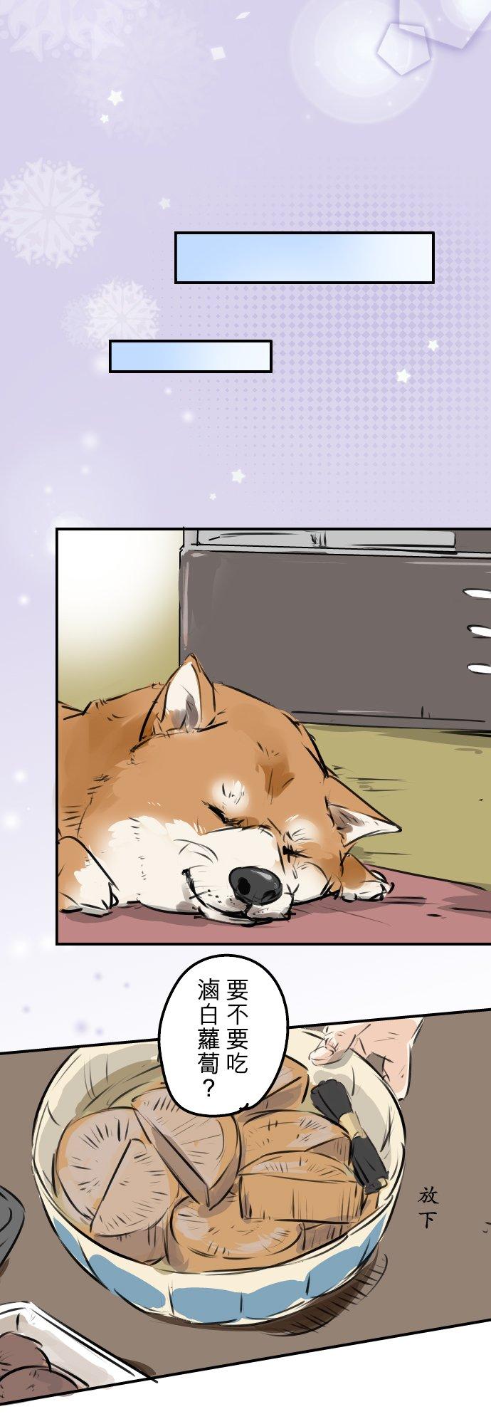 🍛犬系男子恋爱中 第219话 千罗和老奶奶 第10页