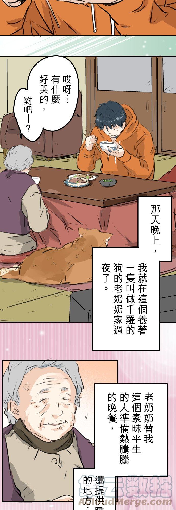 🍛犬系男子恋爱中 第219话 千罗和老奶奶 第13页