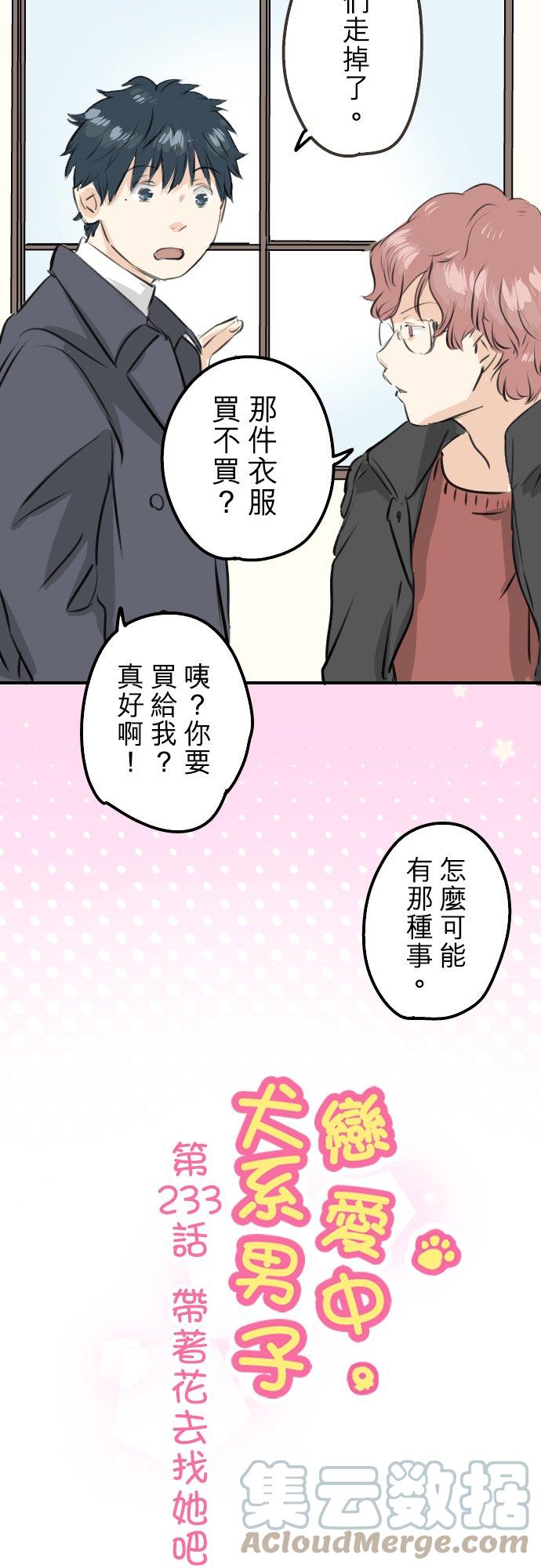 🍛犬系男子恋爱中 第233话 带着花去找她吧 第5页