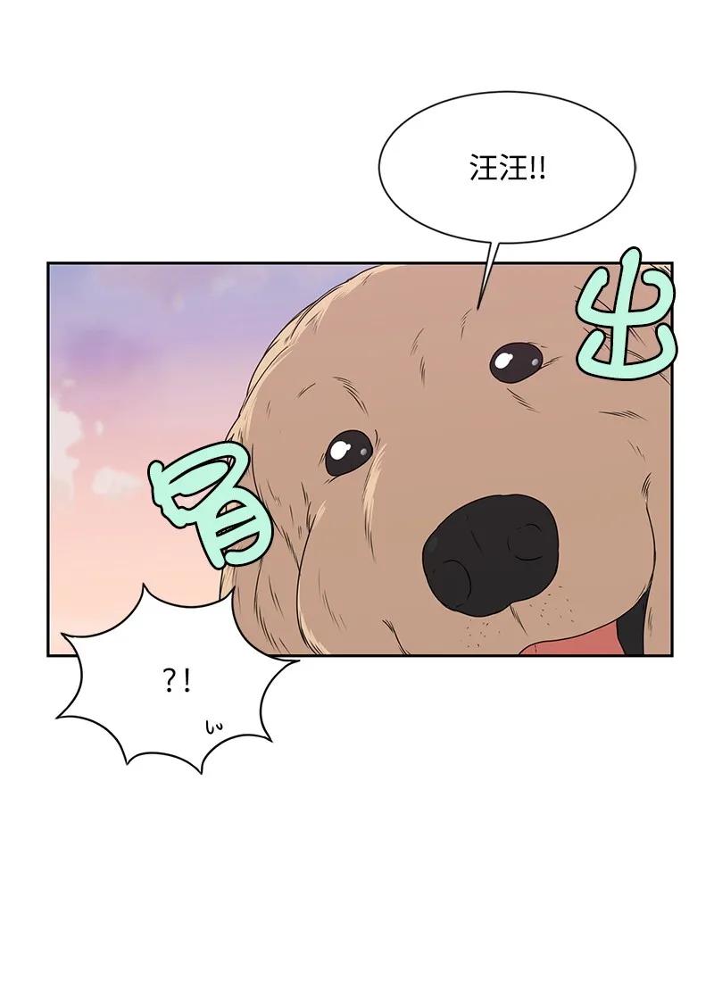20 恋爱关系(1/2)-第20话